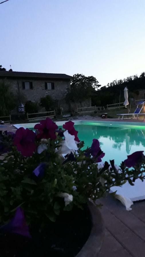 Agriturismo Vista Sole Villa Mercatale  Exterior photo