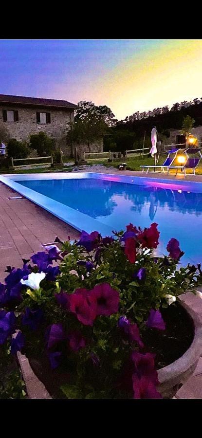 Agriturismo Vista Sole Villa Mercatale  Exterior photo