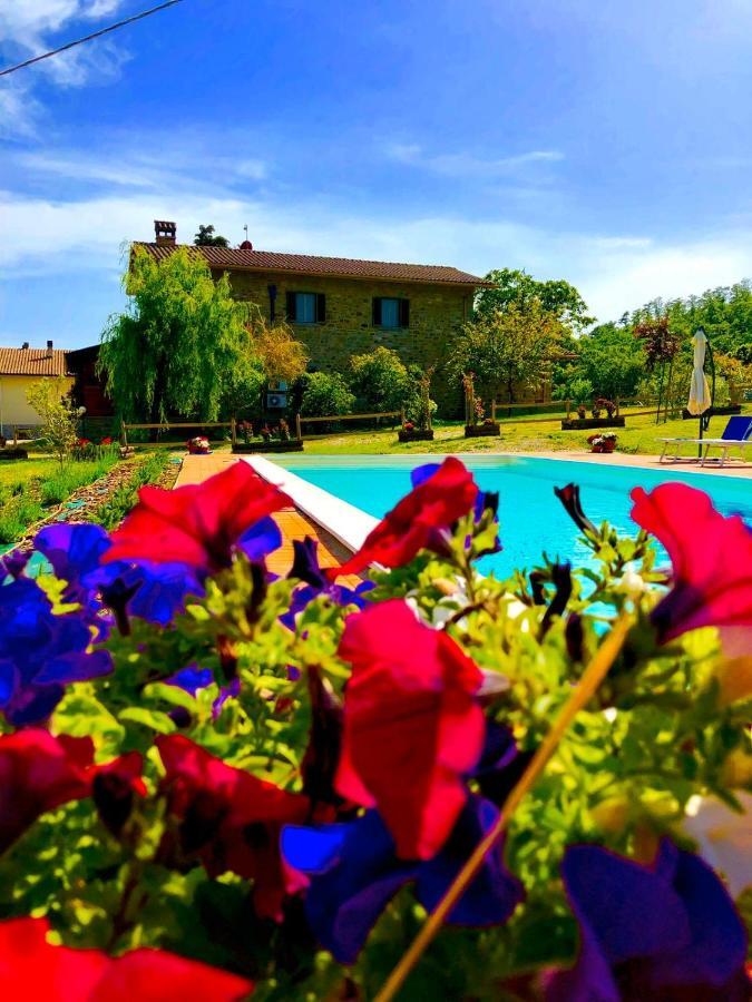 Agriturismo Vista Sole Villa Mercatale  Exterior photo